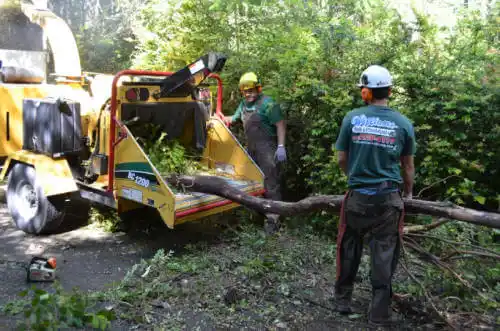 tree services Tinley Park